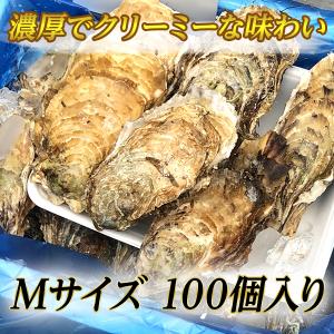 【生牡蠣】瀬戸内相生産 殻付岩牡蠣 Mサイズ 100個入り【お取り寄せ】｜iwamotosuisan