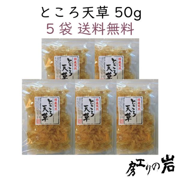 ところ天草 50g 5袋セット 国産 ところてん 天草 自由研究や手作りお菓子にも