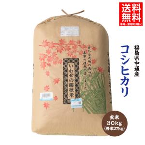 令和6年産　三重県産 こしひかり 玄米20kg 楽天市場】こしひかり 令和6年産 三重県産コシヒカリ 玄米20kg