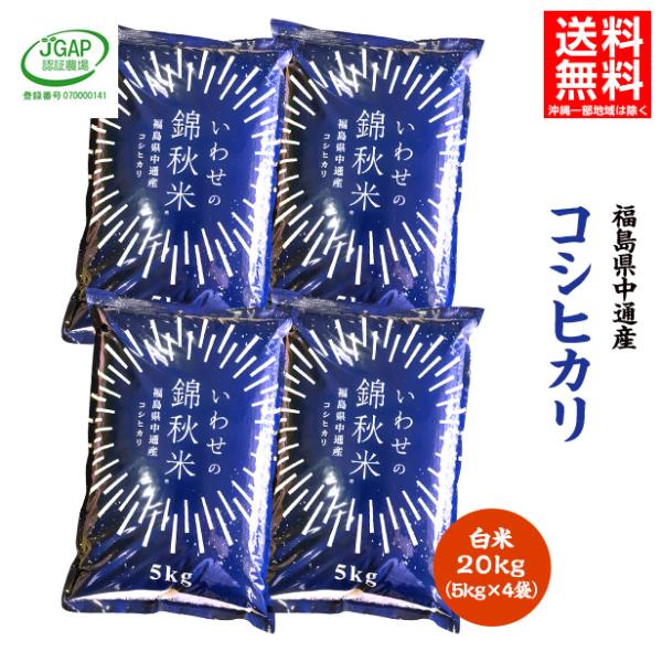 令和5年産 福島県 中通産 コシヒカリ 精白米 20kg (5kg×4袋) 小分け JGAP
