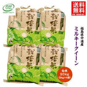 コシヒカリ お米 コメ 25kg 令和7年産(2025年産)コシヒカリ100% 25キロ