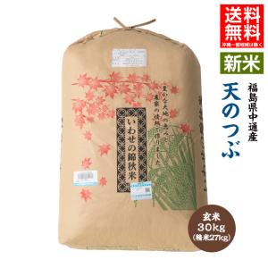 コシヒカリ 新米 30kg 玄米 滋賀県近江八幡産 内野営農組合 令和