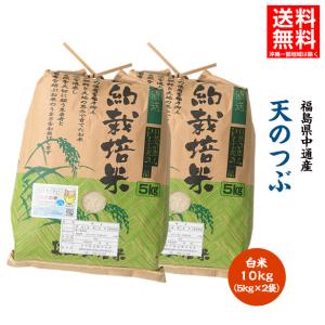令和5年産 米 10kg 白米 福島県 中通産 天のつぶ 精白 (5kg×2袋) 小分け  お米 ふくしまプライド。体感キャンペーン（お米）