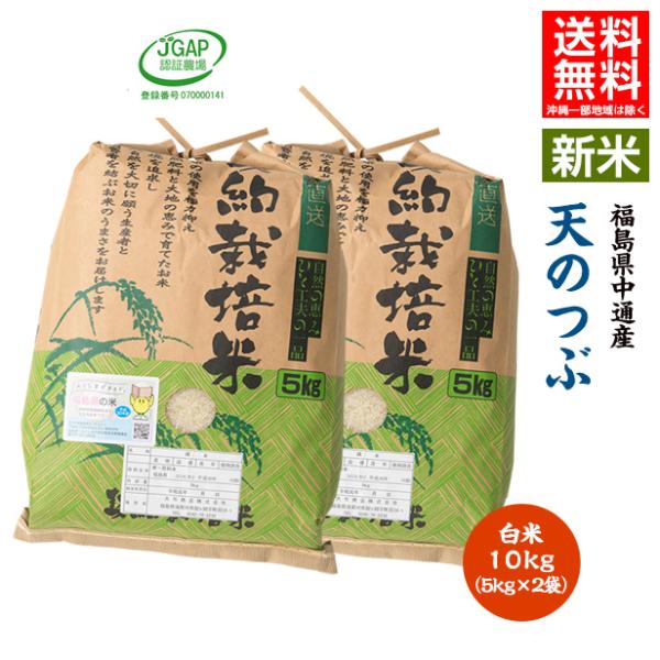 令和7年産 米 10kg 白米 福島県 中通産 天のつぶ 精白 (5kg×2袋) 小分け お米