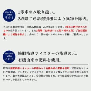 令和7年産 米 10kg 白米 福島県 中通産...の詳細画像2