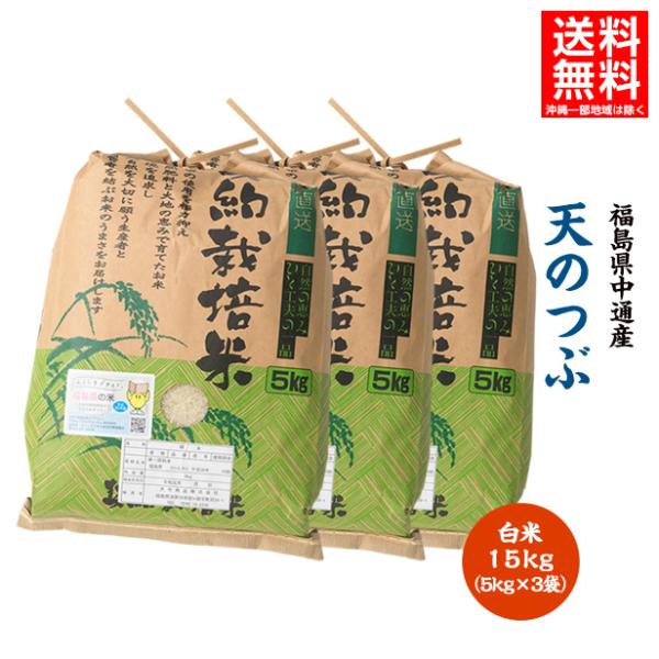 令和5年産 米 15kg 白米 福島県 中通産 天のつぶ 精白米(5kg×3袋) 小分け  お米 ふ...