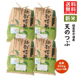 令和5年産 米 20kg 白米 福島県 中通産 天のつぶ 精白米(5kg×4袋) 小分け  お米 ふくしまプライド。体感キャンペーン（お米）｜iwaseno-kinnsyuumai