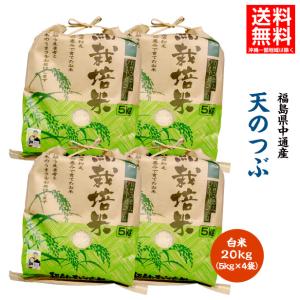 ハツシモ はつしも 寿司米 大粒 岐阜県産 10kg 令和7年産 白米 5kg×2袋