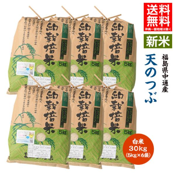 令和7年産 米 30kg 白米 福島県 中通産 天のつぶ 精白米30kg (5kg×6袋) 小分け ...