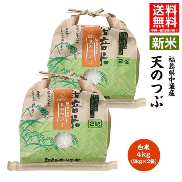 令和7年産 米 4kg 白米 福島県 中通産 天のつぶ 精白米4kg 小分け  お米 ふくしまプライ...