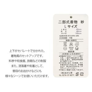 二部式着物(夏用/Lサイズ)仕立て上がり レデ...の詳細画像4