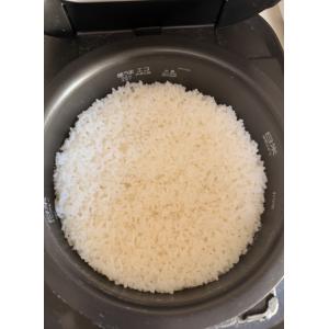新米 予約 令和8年産 お米 10kg 送料無...の詳細画像3