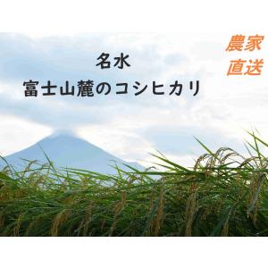 令和5年産　炊くとふっくら！霊峰富士山の湧き水が作った絶品コシヒカリ30kg （30キロ）  100％新米 白米 お米 コシヒカリ 静岡産　単一原料米｜iwatayacom