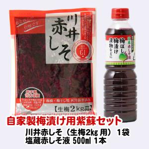 川井赤しそ＆塩蔵赤しそ液　自家製梅漬け用紫蘇セット　　岩手県宮古市産　片面赤紫蘇　塩蔵しそ　紫蘇液　梅干し用