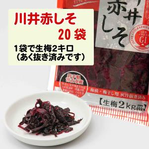 川井赤しそ&塩蔵赤しそ液 自家製梅漬け用紫蘇セ...の詳細画像1