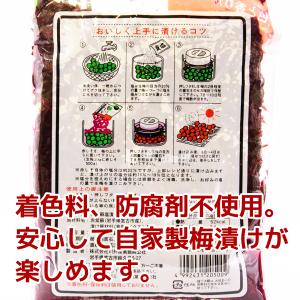 川井赤しそ&塩蔵赤しそ液 自家製梅漬け用紫蘇セ...の詳細画像3