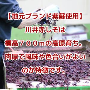 川井赤しそ&塩蔵赤しそ液 自家製梅漬け用紫蘇セ...の詳細画像4