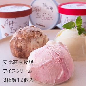 アイスクリーム 安比高原牧場 チョコ・バニラ・いちご 12個