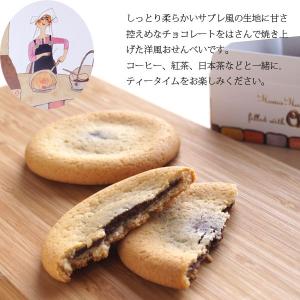 ソフトクッキー チョコ 生南部サブレ 巖手屋 ...の詳細画像1