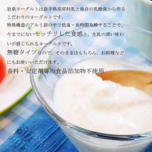 岩泉ヨーグルト プレーン 無糖 1000g 5...の詳細画像1
