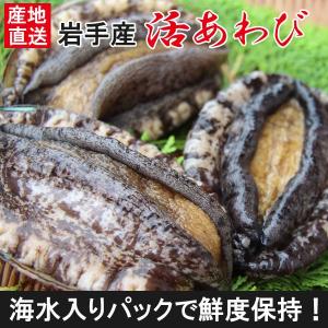 三陸産 天然活あわび　エゾアワビ100~130g 3個セット｜iwatekensan-netshop