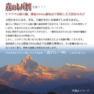 森のレバ刺 ヒマラヤ山脈 天然あみたけ 4個セ...の詳細画像2