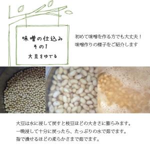 麹屋さんの味噌作りセット 高善商店 手作り味噌...の詳細画像4