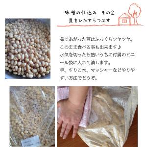 麹屋さんの味噌作りセット 高善商店 手作り味噌...の詳細画像5