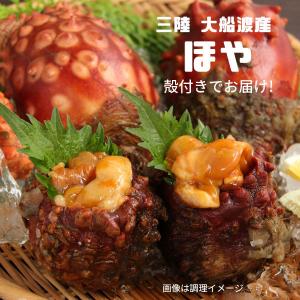 ほや 殻付き 12個 生ほや 三陸 大船渡産 鎌田水産 夏季限定 海のパイナップル BBQ