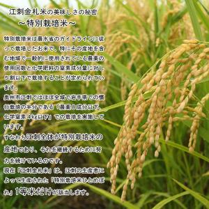 無洗米 5kg 江刺金札米 ひとめぼれ 1袋〜...の詳細画像1