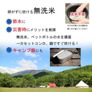 無洗米 5kg 江刺金札米 ひとめぼれ 1袋〜...の詳細画像4
