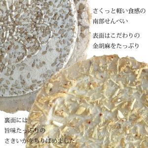 南部せんべい さきいか 巌手屋 いかせんべい ...の詳細画像1