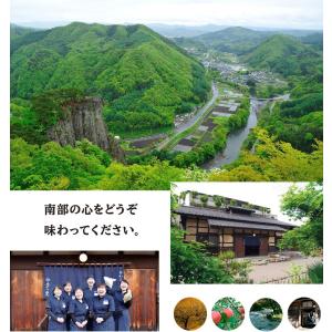 南部せんべい いかせんべい 15枚 プレゼント...の詳細画像5