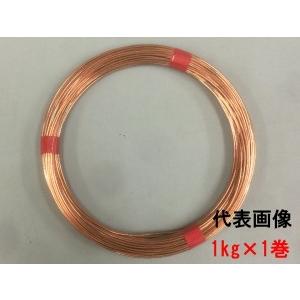 若井 WAKAI 銅線 #22(0.7mm)×1kg巻 約280m * : 岩内金物店 若井 WAKAI 銅線 #22(0.7mm)×1kg巻 約280m * : 岩内金物店