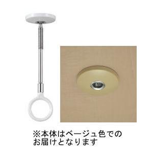 メール便 可 ホスクリーン 川口技研 室内用 物干し金物 SSサイズ SPCSS