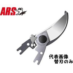 メール便 送料無料) 飛塚製鋏所 飛庄 松葉切り鋏 230mm 金止 PS-39 輪