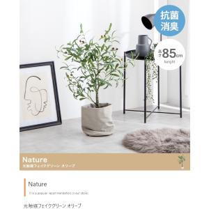 光触媒 人工観葉植物 オリーブ 高さ85cm フェイクグリーン 抗菌 防臭｜iwaya-mart