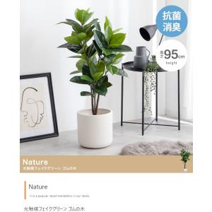 エバーフレッシュ フェイクグリーン 高さ180cm 観葉植物 フェイク 大型