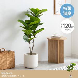 光触媒 人工観葉植物 リラータ 高さ120cm Nature 水やり不要 フェイクグリーン｜iwaya-mart