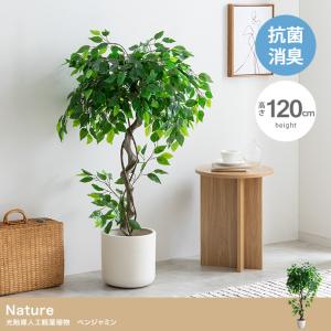 光触媒 人工観葉植物 高さ120cm ベンジャミン フェイクグリーン Nature 水やり不要 簡単お手入れ｜iwaya-mart