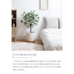 人工観葉植物 光触媒 高さ130cm ユーカリ...の詳細画像4