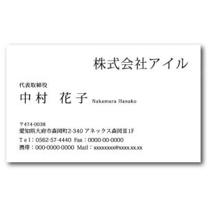 名刺作成 100枚 名刺 簡単作成 校正無料 ゆうパケットで送料無料 b019｜iwill