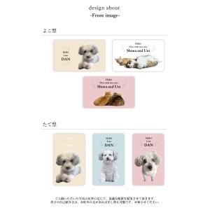 オリジナルフォト名刺 ペットグッズ 犬 愛 う...の詳細画像2
