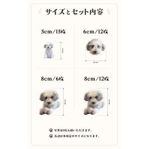 シール ステッカー オリジナル オーダーメイド...の詳細画像3