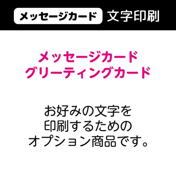 [オプション]メッセージカード 文字印刷