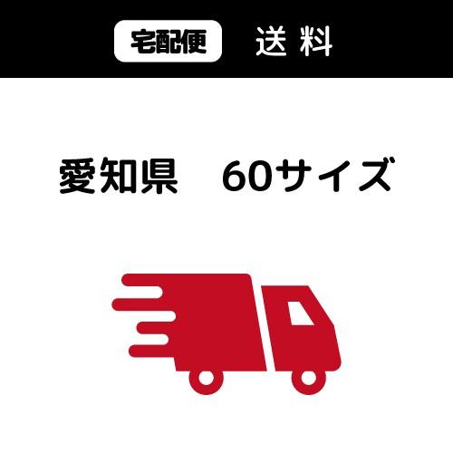 宅配料金-愛知60サイズ