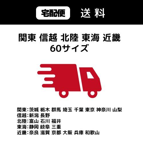 宅配料金-関東信越北陸関西60サイズ