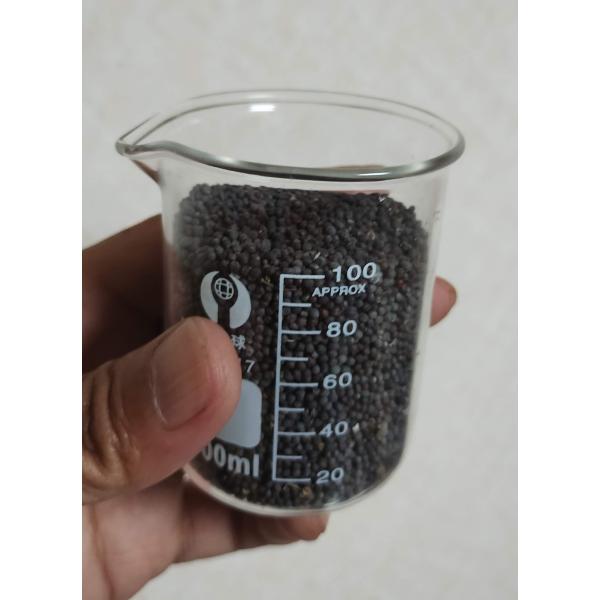 菜花の種 100cc  大和郡山 一般品種 はじめてでも安心！育てやすい菜の花の種  葉っぱも美味し...