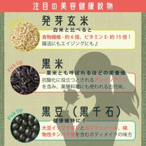 美ZAKKOKU 雑穀米 21種ブレンド 個包...の詳細画像4