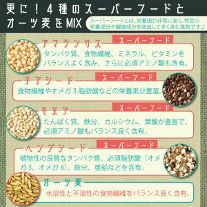 美ZAKKOKU 雑穀米 21種ブレンド 個包...の詳細画像5